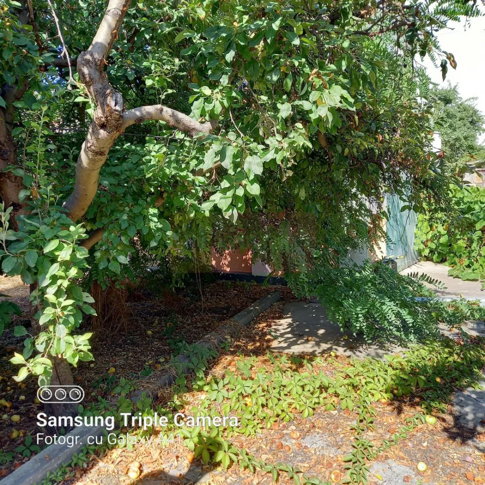 Vanzare teren Fundeni, sector 2 - Compania Imobiliara Apulum94 va ofera spre cumparare un teren aflat in zona Fundeni, sector 2. Terenul are o suprafata de 740mp, deschidere 16m. Pe teren se afla o casa demolabila/renovabila cu o suprafata de 149mp, cu toate utilitatile: apa, gaze, canalizare, curent..