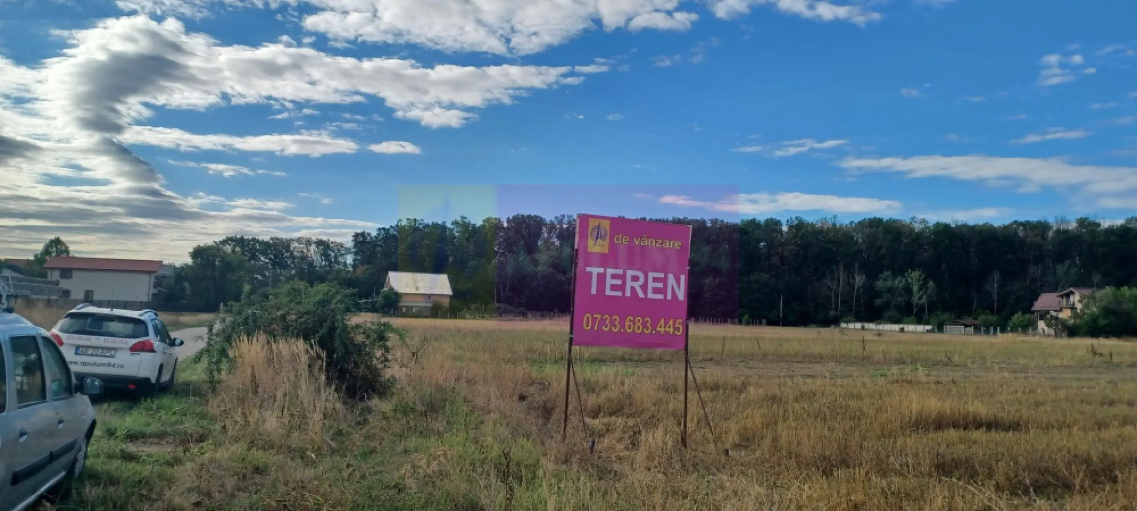 Gulia teren 11.157 mp, lângă Pădurea Cereanca - Terenul se află în vecinătatea Pădurii Cereanca, în localitatea Gulia, în apropiere de DN7, la 13 km de Bucuresti, cu acces prin Chitila, Buftea sau Săbăreni. Terenul se află într-o zonă rezidentială, cu locuințe tip parter sau P+1E, are suprafața de 11.157 mp si este alcătuit din 2 terenuri alăturate cu un front stradal de 37 m, pe str Codrului, la aproximativ 150-180 m de pădure. Prețul este 247.000 EUR, negociabil. Nu se plătește TVA sau comision.