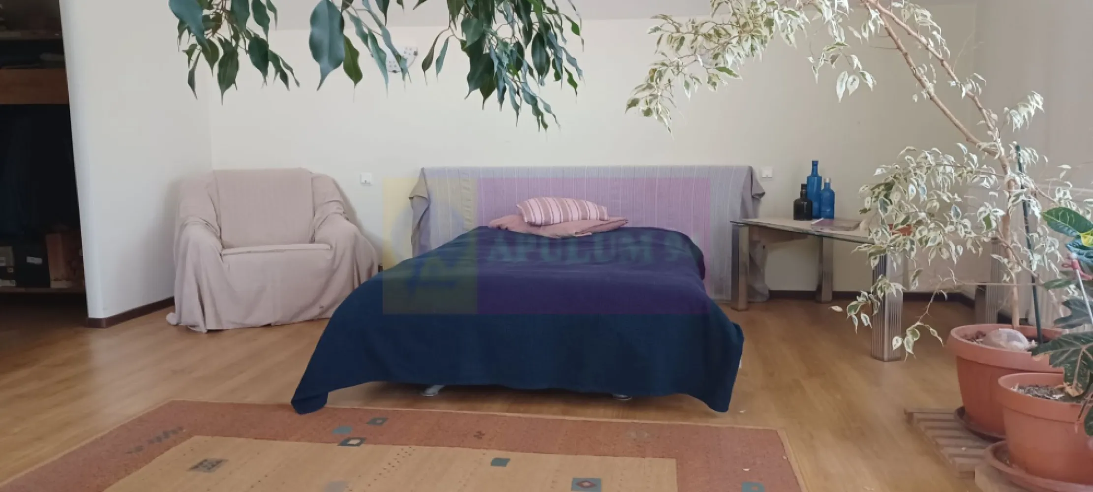 Joița, vilă 5 camere 187 mp utili + garaj, terasă, pivniță, curte 578