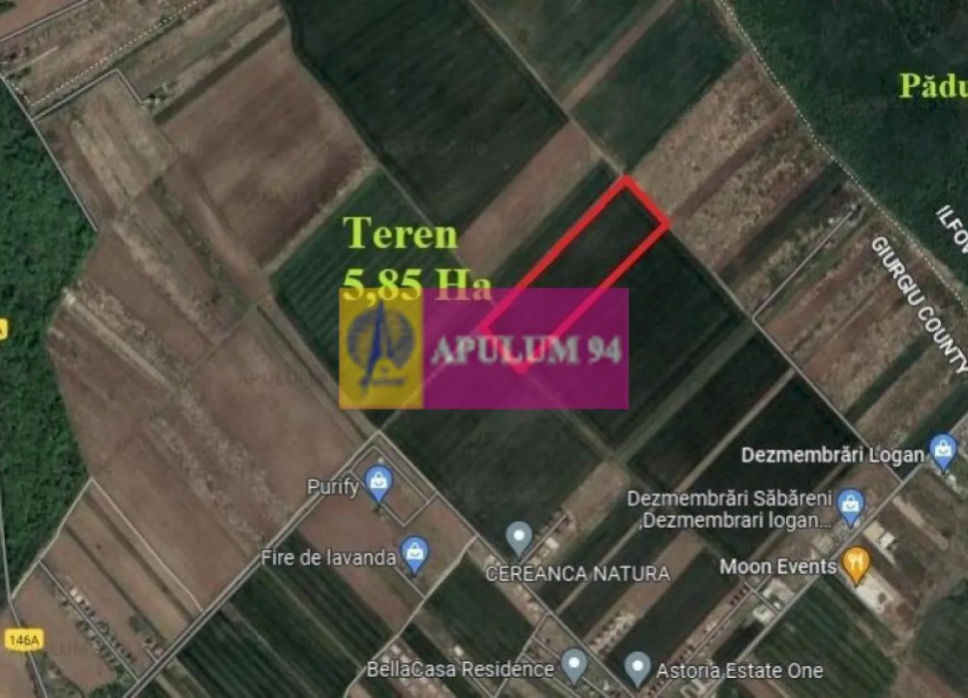 Săbăreni, teren 5,85 ha, intravilan rezidențial, între 2 păduri - In apropierea Centurii de Vest a Bucurestiului, cu acces usor prin DN7 si DJ602, în localitatatea Săbăreni, între cele 2 păduri: Râioasa si Cereanca, în planul 2, retras fata de DJ, într-o zonă ferită de poluare. Terenul este intravilan cu destinație rezidențială si are 58.500 mp cu 2 fronturi stradale (la capete) de câte 126 m. Pret 13 EUR/mp.