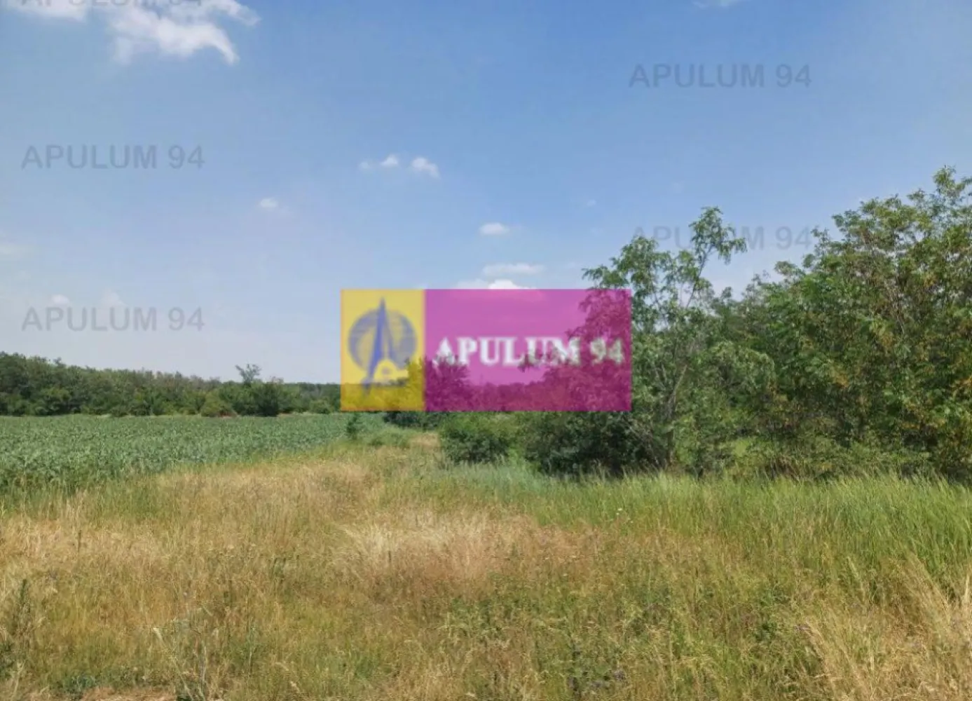 Săbăreni, teren 12620 mp pentru case, lângă pădure - Terenul este amplasat, la intrarea în Săbăreni dinspre DN7, imediat după pădure, lipit de aceasta. Are suprafața de 12.620 mp, cu o deschidere la drumul de accces de 36 m. Terenul este intravilan iar zona are destinatie rezidentială: locuințe de tip parter sau p+1. Nu se vinde dezmembrat. Pret 15 EUR/mp.