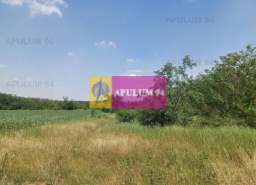 Săbăreni, teren 12620 mp pentru case, lângă pădure