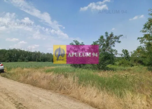 Săbăreni, teren 12620 mp pentru case, lângă pădure