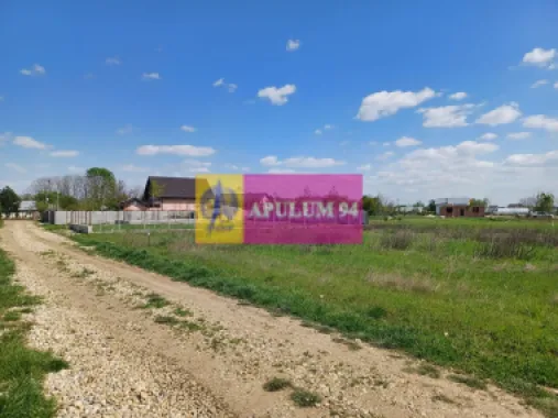 Logo Apulum94 logo