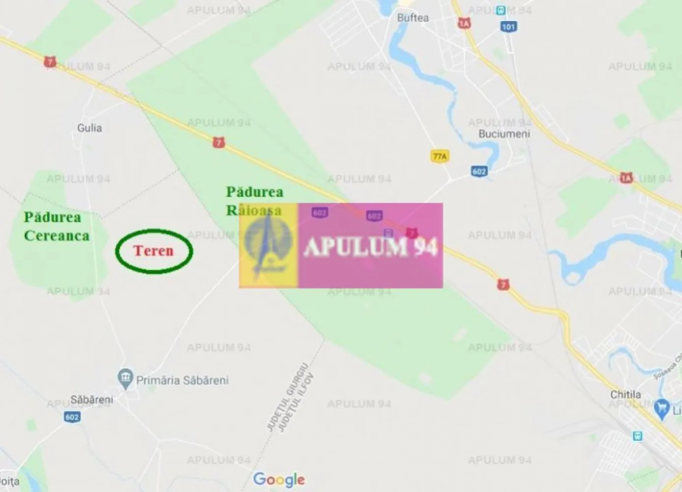 Săbăreni, teren intravilan construibill, la 300 m de pădure - In Săbăreni, la 11 km de Centura Bucurestiului, între cele 2 păduri: Râioasa si Cereanca, în planul 2, retras fata de DJ602, într-o zonă ferită de poluare, locatie potrivită constructiilor rezidentiale sau de agrement. Terenul este intravilan si are o suprafață de 16.400 mp cu 2 Fronturi stradale (la ambele capete) de câte 43 m.