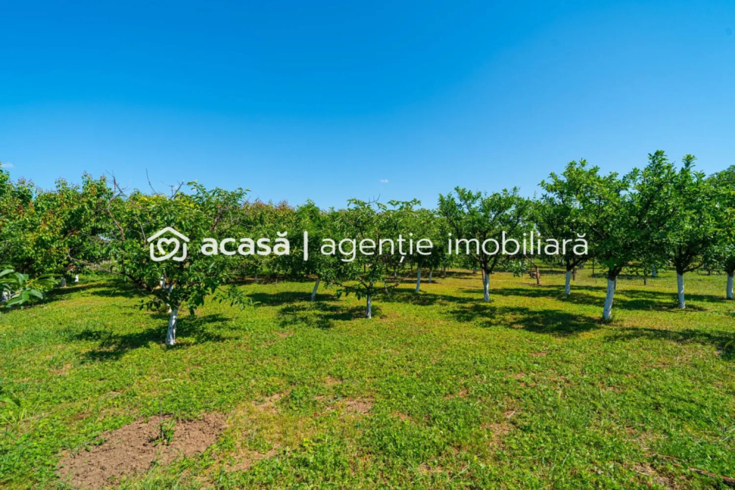 Casă spațioasă cu teren generos în Felnac – la 18 km de Arad