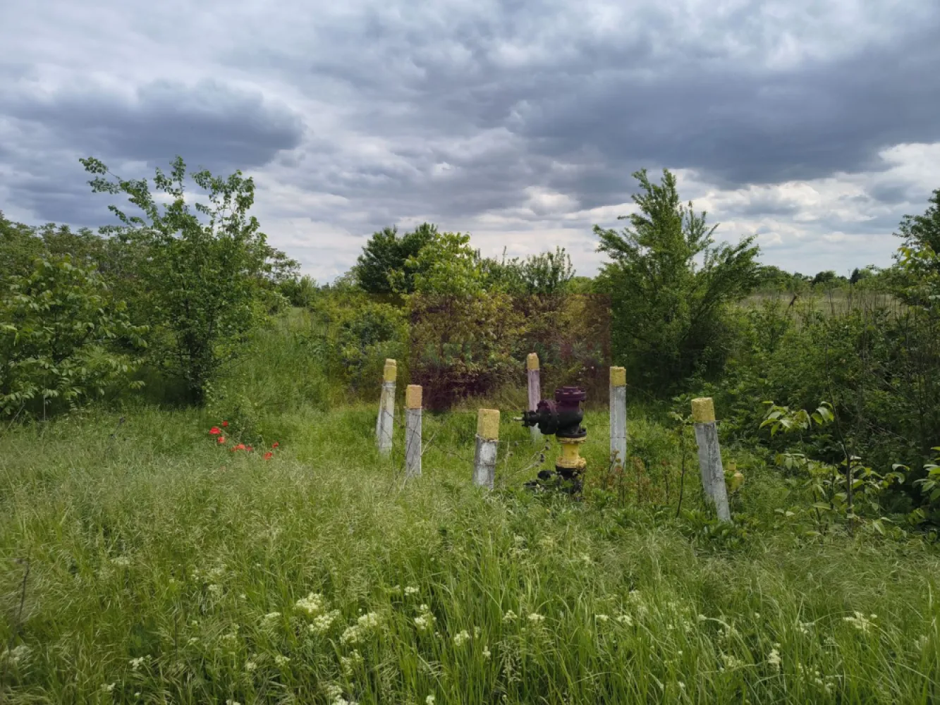 Teren Sectorul 6 - Giulesti Sarbi- Artera Drumul Sabareni - Vă propunem spre cumpărare un teren intravilan Sectorul 6 Bucuresti in zona Giulesti-Sarbi, cu acces din Drumul Sabareni, relativ in apropiere de fostele magazii 16 Februarie, Statia de Gaz - Artera Sabareni, Statia de Asfalt Erbasu, Cimitirul Giulesti-Sarbi, Strada Sculptorilor. Terenul are un front stradal de 36ml la un drum de exploatare (neasfaltat) care se face perpendicular pe strada Drumul Săbăreni, la mica distanta de statia de gaz. Ca si utilitati avem in apropiere gaz si curent electric. Terenul reprezinta o oportunitate ca si achizitie deoarece perspectivele de dezvoltare ale acestei zone sunt mari odata cu aprobarea viitorului plan de urbanism zonal al sectorului 6, numeroase companii facand deja achizitii in aceasta zona ca investitii pe termen mediu. Terenul este proprietatea unei persoane fizice, achizitia terenului fiind nepurtatoare de TVA. Pentru teren exista cadastru si intabulare iar pentru vanzare fiscalul se poate scoate in scurt timp, avem depusă și solicitarea ce certificat de urbanism. Pentru mai multe detalii și programarea de vizionări nu ezitați să mă contactați, Daniel, Apulum94. Facilităm și achiziționarea prin credit ipotecar prin intermediul partenerilor, agenția imobiliară percepe un comision de 3% din prețul de tranzacționare și la vizionare se semnează contract de prestări servicii.