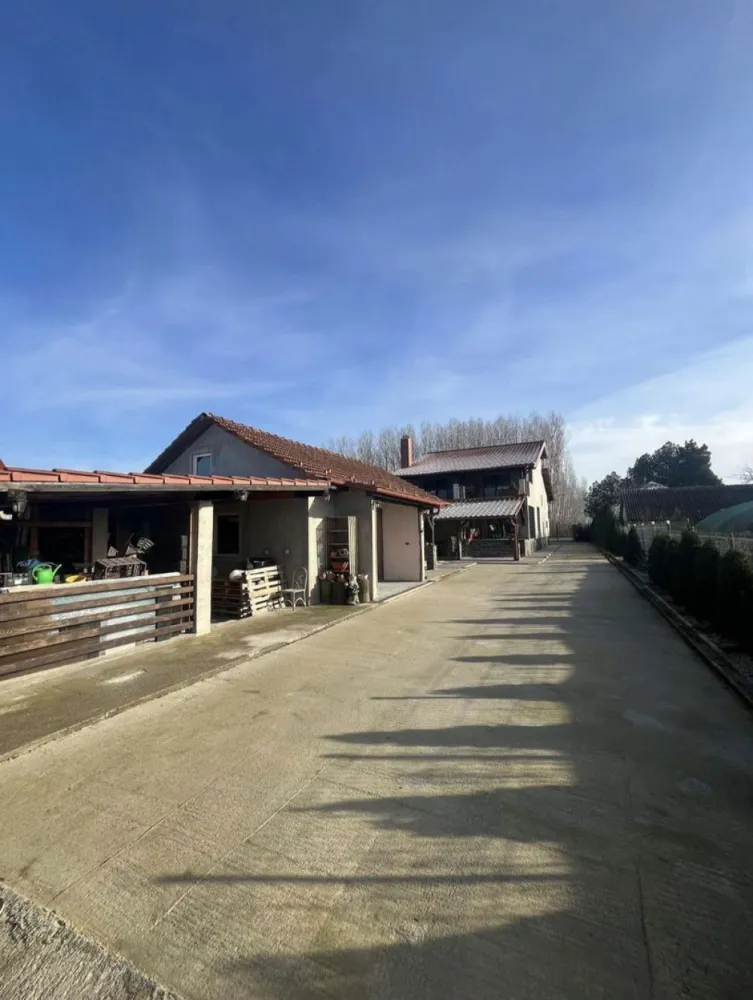 BRASADAS vinde casa in zona AQUASTAR. - Agentia imobiliara BRASADAS vinde casa individuala in zona AQUASTAR construita pe un teren de 20 de ari, din care 8 ari de livada cu pomi fructiferi. Casa construita in 2016, incalzita prin centrala cu peleti. Casa este impartita in Beci: camera tehnica, crama, camara. Parter: Biblioteca, baie de serviciu, living + zona de dining, bucatarie. Etaj: 3 dormitoare, doua bai, dressing. Pod. Un dormitor are o iesire pe o terasa de 50mp, celelalte 2 balcoane au fiecare cate 5mp. Terasa la sol cu iesire de la zona de dining si bucatarie. In spatele casei se afla o bucatarie de vara+un garaj anexat acesteia. In continuare se afla un foisor cu gratar, baie, etc. anexat acestuia se afla un ciubar iar in continuarea acestora se afla livada de pomi fructiferi.
www.brasadas.com.