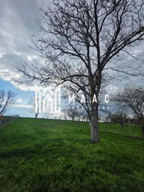 Casa individuala I Curte I Teren 1700 mp I Rosia