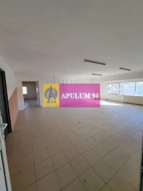 Logo Apulum94 logo