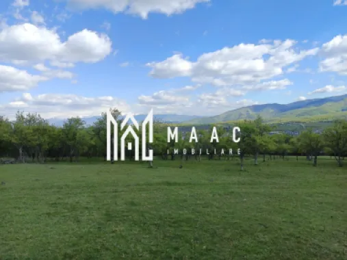 Logo MAAC IMOBILIARE logo