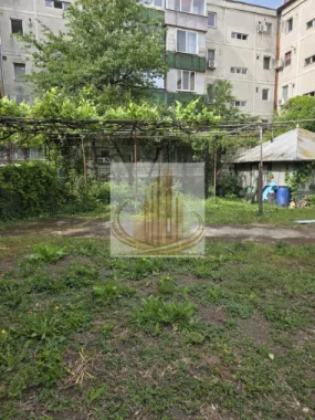 Casa 190mp cu teren 1100mp Lipovei
