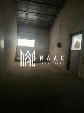 Hala | 380 MP | Teren 800 MP