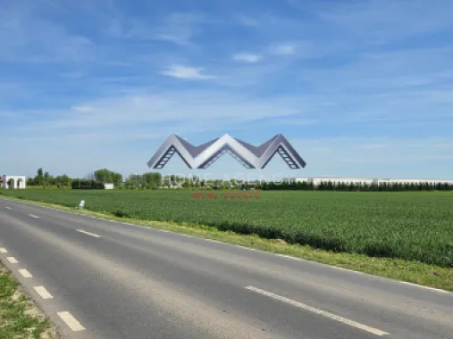 Teren 33.211 mp Tunari – ideal logistică, showroom sau producție