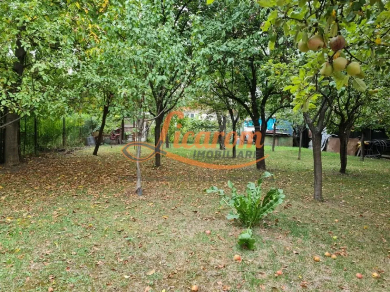 Proprietate individuala-3 apartamente,spatiu comercial,garaje,gradina,curte - Licarom Imobiliare propune spre vanzare o proprietate situata in zona Blumana apropierea strazii Lungi.
Imobilul este compus din 3 apartamente dintre care doua au 3 camere,iar unul 4 camere,fiecare cu cate 2 grupuri sanitare si bucatarie.
Proprietatea dispune de 2 garaje,terasa spatioasa deasupra garajelor si o gradina mare(700 mp)cu pomi fructiferi.
Deasemenea mai are in componenta la parterul imobilului un spatiu comercial de aproximativ 100 mp.
Curtea are acces auto.
Proprietatea este pretabila pentru a fi locuita sau pentru a fi recompartimentata.
Ideala ca investitie.
Pentru mai. multe realtii,nu ezitati sa ne contactati la telefon 0741059397 Calin /0723985424 Liliana
Proprietatea are acces stradal din 2 artere.