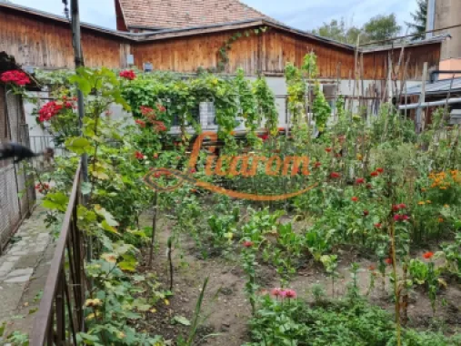 Proprietate individuala-3 apartamente,spatiu comercial,garaje,gradina,curte