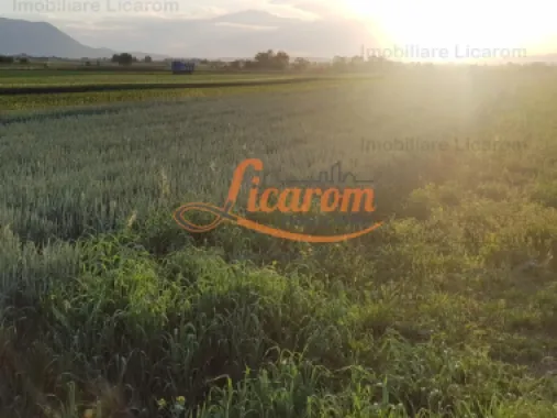 Teren Stupini Calea Feldioarei 11800 mp,25 euro/mp, front la asfalt-DN