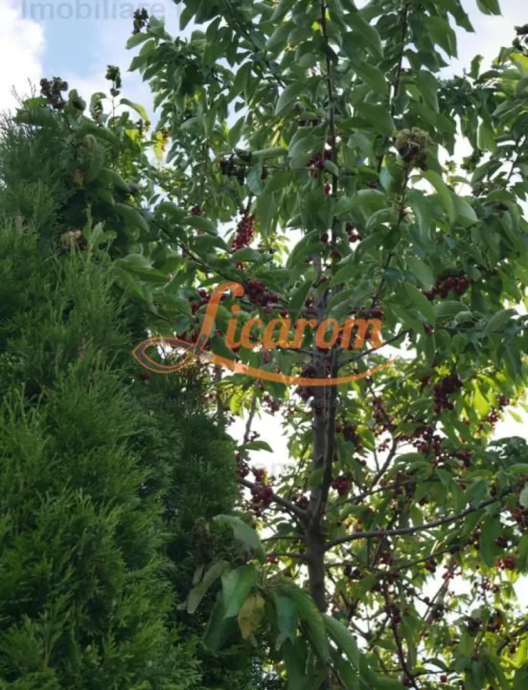 Vila Stupini pentru diverse activitati(gradinita after school),sau locuit