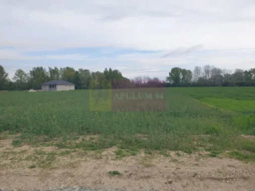 Teren ideal dezvoltare imobiliară în Măgurele strada Atmosferei