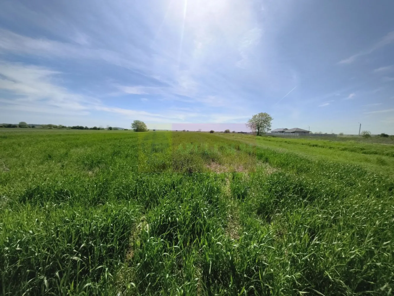 Teren intravilan cu potanțial pentru investiție - Teren de 2200mp cu deschidere de aproape 14 la două drumuri, teren intravilan, teren situat în proximitatea noului cartier de case din zona străzii Taberei din localitatea Dărăști-Ilfov, teren situat între case și A0 cu acces facil spre București. Terenul este proprietatea unor persoane fizice, nu se percepe TVA, dacă se dorește se poate cumpăra și 1100mp (jumătate) după semnarea unei promisiuni de vânzare și dezmembrarea aferentă. Pentru mai multe detalii și programarea de vizionări nu ezitați să mă contactați, Daniel, Apulum94.