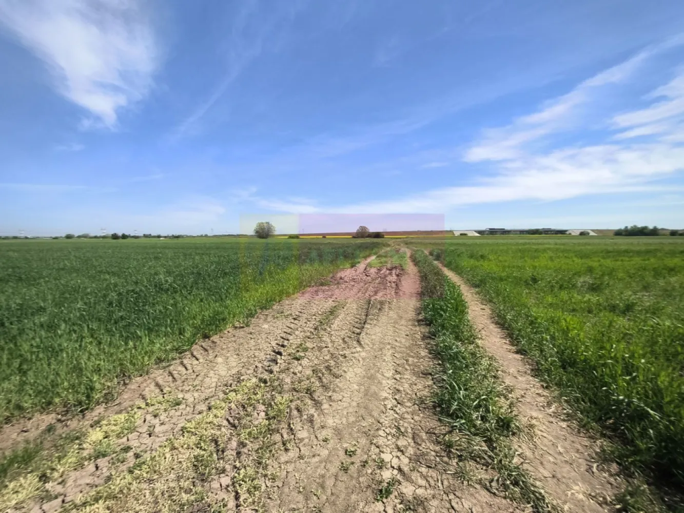 Teren intravilan cu potanțial pentru investiție - Teren de 2200mp cu deschidere de aproape 14 la două drumuri, teren intravilan, teren situat în proximitatea noului cartier de case din zona străzii Taberei din localitatea Dărăști-Ilfov, teren situat între case și A0 cu acces facil spre București. Terenul este proprietatea unor persoane fizice, nu se percepe TVA, dacă se dorește se poate cumpăra și 1100mp (jumătate) după semnarea unei promisiuni de vânzare și dezmembrarea aferentă. Pentru mai multe detalii și programarea de vizionări nu ezitați să mă contactați, Daniel, Apulum94.