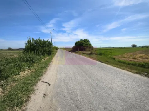 Teren pentru investiție Ilfov, în apropiere de București