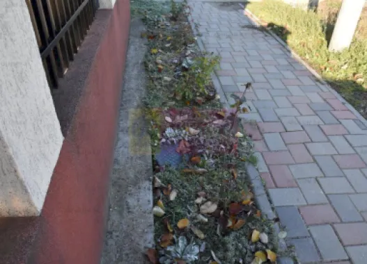 Casă aproape de București gata de mutat