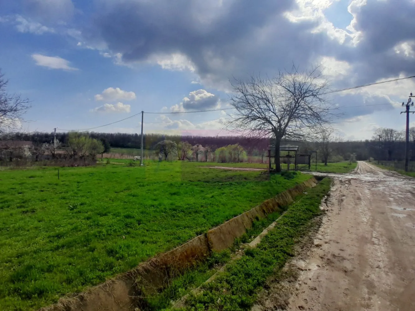 DE VANZARE TEREN 3400 MP IN SAT PODU ILFOVAT / COM BUTURUGENI (GR) - Compania imobiliara Apulum94 are placerea de a va propune spre vanzare un teren situat in sat Podu Ilfovat / Com. Buturugeni / jud. Giurgiu.
Proprietatea are suprafata de 3400 mp cu deschidere la drumul principal de 90 ml.

Terenul este intravilan si se preteaza pentru multiple variante in ochii unui antreprenor cu viziune.

Utilitatile sunt prezente in fata terenului (curent electric, canalizare, pentru apa se foreaza put, gaz inca nu este introdus in sat)

Pentru mai multe detalii despre oferta prezentata sau alte oferte similare, astept cu maxim interes sa ma contactati la numarul de telefon din anunt sau pe Whatsapp

Cu respect,

Agent Imobiliar Aurelian Popescu / 0733.683.456

Apulum94 – Un partener de cursa lunga!