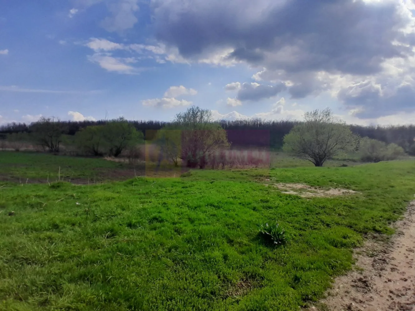 DE VANZARE TEREN 3400 MP IN SAT PODU ILFOVAT / COM BUTURUGENI (GR)