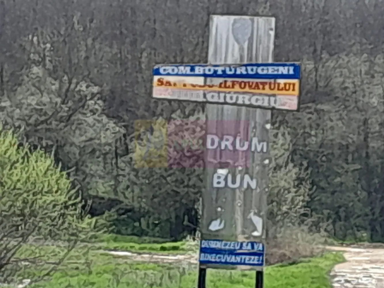 DE VANZARE TEREN 3400 MP IN SAT PODU ILFOVAT / COM BUTURUGENI (GR)