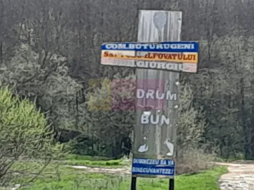 DE VANZARE TEREN 3400 MP IN SAT PODU ILFOVAT / COM BUTURUGENI (GR)