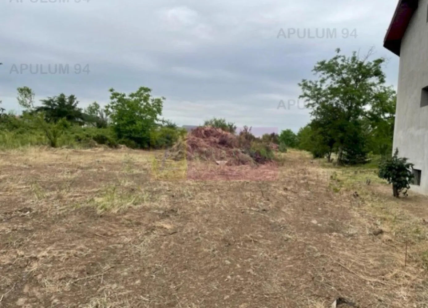 Teren Domnesti- Mega Image. - Compania imobiliara Apulum 94 va propune un teren situat stradal pe Soseaua Alexandru Ioan Cuza, in apropiere de Mega Image Domnesti. 
Terenul are o deschidere stradala de 4,5 ml, iar dupa aproximativ 60 metri se lateste la 13 ml. 
Terenul este racordat la curent, iar apa, gazul si canalizarea sunt in fata terenului. 
Pentru vizionare si mai multe detalii nu ezitati sa ma contactati pe nr 0733683446- Laura Ionescu.
