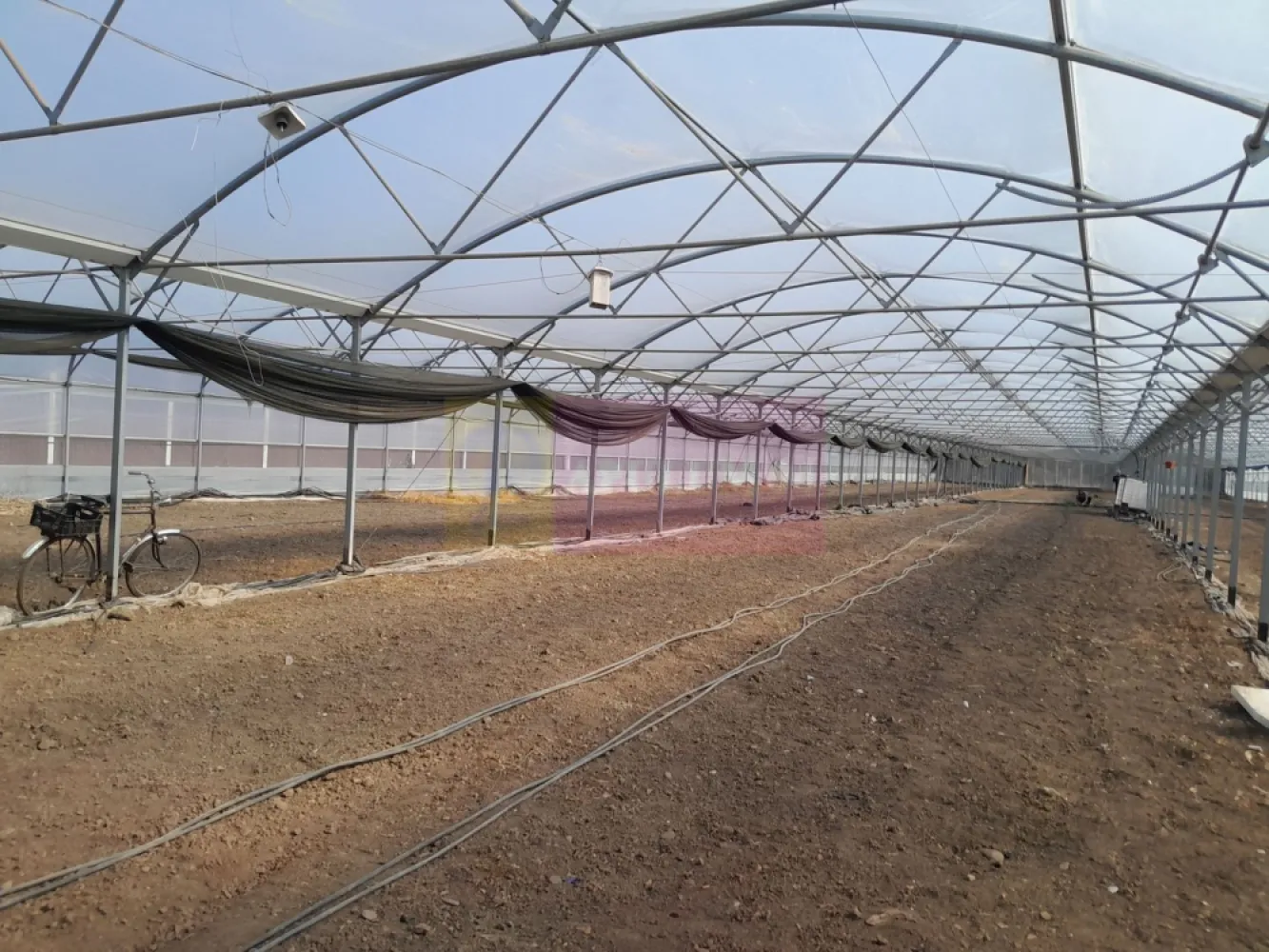 VANZARE TEREN 3100 MP - SAT ROSIORI (IL) - Compania imobiliara Apulum94 are placerea de a va propune spre vanzare un teren situat pe strada Zorilor in sat ROSIORI din jud. Ialomita., in suprafata de 3144 mp pe care se afla edificata o sera (2200 mp). si o anexa pt diverse scule. 

Terenul este pretabil pentru orice proiect. Utilitatile, prezente in proximitatea terenului, exista doar sub forma de curent electric si apa de la put propriu. Proprietarul este persoana juridica.

Terenul se vinde cu sera si utilaje specifice incluse in pret; proprietatea se elibereaza la 01.10.2026.

Zona si vecinii sunt linistiti. Cei care vor un loc sa-si incarce bateriile dupa o saptamana agitata in oras, sigur vor aprecia acest coltisor de Rai. 

La nevoie, putem facilita și achiziționarea prin credit ipotecar prin intermediul partenerilor.

Pentru mai multe detalii despre oferta prezentata sau alte oferte similare, astept cu maxim interes sa ma contactati la numarul de telefon din anunt sau pe Whatsapp. 

Cu respect, 

Aurelian Popescu / 0733.683.456 / Apulum94