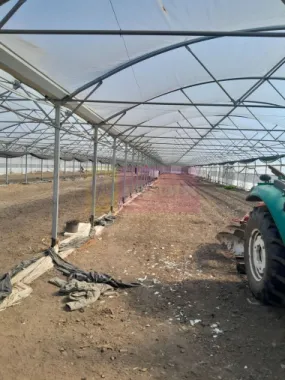 VANZARE TEREN 3100 MP - SAT ROSIORI (IL)