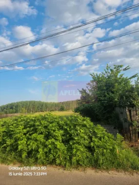 VANZARE TEREN 2150 MP IN SAT TEISORI (GR)