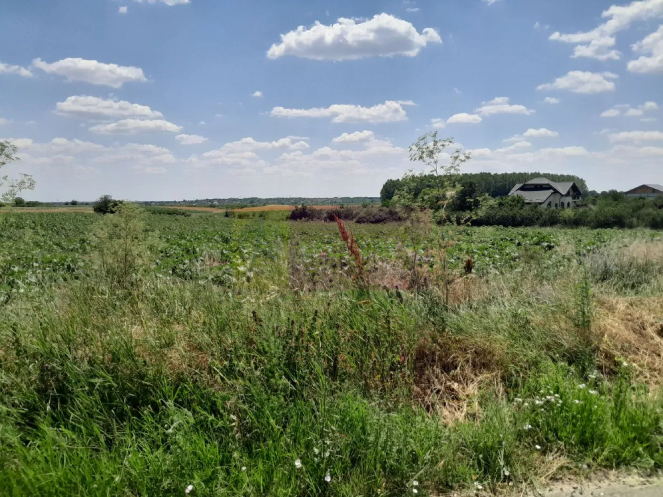 DE VANZARE 2 LOTURI LIPITE (TOTAL 16.500 MP) IN SAT TEISORI (GR) - Compania imobiliara Apulum94 are placerea de a va propune spre vanzare doua terenuri alipite situate in sat Teisori, de 8400 mp unul si celalalt de 8200 mp cu deschidere totala 142 ml. 

Terenurile sunt intravilane si sunt pretabile pentru multiple variante in ochii unui antreprenor cu viziune. 

Utilitatile din fata terenului sunt prezente. 

Pentru mai multe detalii despre oferta prezentata sau alte oferte similare, astept cu maxim interes sa ma contactati la numarul de telefon din anunt sau pe Whatsapp 

Cu respect, 

Agent Imobiliar Aurelian Popescu / 0733.683.456 

Apulum94 – Un partener de cursa lunga!