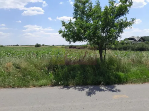 DE VANZARE 2 LOTURI LIPITE (TOTAL 16.500 MP) IN SAT TEISORI (GR)
