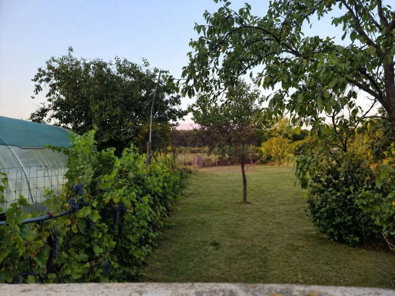 DE VANZARE CASA (5 CAM) COM. ROATA DE JOS (GR) - Compania Imobiliara Apulum94 are deosebita placere sa va propuna spre vanzare o casa individuala situata pe strada Republicii nr. 152 in sat Sadina, com. Roata de Jos, judetul Giurgiu, o proprietate ideala pentru cei care cauta liniste, spatiu si acces facil catre capitala; casa este situata la doar 58 km de Bucuresti.

Proprietatea are o suprafata utila de 190 mp si un teren generos de 2875 mp, fiind ideala pentru familii sau persoane care cauta liniste, spatiu si confort.

Casa este construita pe formula P+1 (receptia lucrarilor in 2009) fiind compusa din 5 camere, avand 4 dormitoare si un living spatios la parter, bucataria este complet mobilata amenajata in incapere inchisa,; baie amenajata pe fiecare nivel 

Mentionez ca aparate de aer conditionat nu sunt instalate intrucat nu a fost considerata oportuna investitia, avand in vedere ca s-a investit in izolarea termica esterioara, casa oferind un climat optim tot timpul anului. Pentru incalzire iarna si apa calda curenta exista instalata o centrala termica pe gaz; este instalata incalzire in partoseala.

Mansarda poate fi amenajata astfel incat se mai pot realiza 2 camere confortabile.
 
Cateva specificatii tehnice generale/dotari:

- structura de rezistenta: stalpi beton armat, planseu beton armat
- zidarie exterioara si compartimentari interioare cu caramida 
- geamuri termopan profil PVC,
- termoizolare exterioara cu polistiren + tencuiala decorativa

Sunt disponibile mai multe locuri de parcare in curte.

Mentionez ca pretul casei este usor negociabil.

Comision zero la cumparator!!!

Pentru detalii suplimentare, ma puteti contacta la 0.7.3.3.6.8.3.4.5.6.

Agent imobiliar: Aurelian Popescu
Apulum94 - Un partener de cursa lunga!