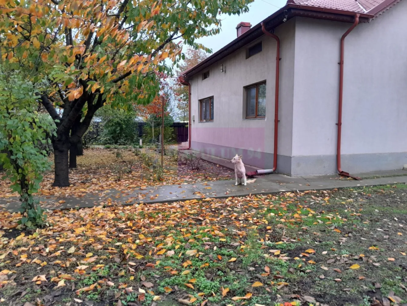 DE VANZARE CASA IN COM. BRANESTI (IF) - Compania Imobiliara Apulum94 are deosebita placere sa va propuna spre vanzare o casa individuala situata pe strada Doina nr. 1A, in sat Islaz, com. Branesti, judetul Ilfov, o proprietate ideala pentru cei care cauta liniste, spatiu si acces facil catre capitala; casa este situata la doar 25 km de Bucuresti (30 min cu masina).

Proprietatea are o suprafata utila de 300 mp si un teren generos de 1500 mp, fiind ideala pentru familii cu copii mici care cauta o proprietate versatila , aproape de zona metropolitana care sa ofere la pachet liniste / intimitate, spatiu si confort optim.

Casa este construita pe formula P+1 (receptia lucrarilor in 2010) fiind compusa din 7 camere, avand 6 dormitoare si un living spatios la parter, bucataria este complet mobilata amenajata in incapere inchisa,; baie amenajata pe fiecare nivel.

Pentru incalzire iarna si apa calda curenta exista instalata o centrala termica pe gaz; este instalata incalzire in partoseala. Casa este racordata la utilitatile de baza: apa, canalizare, cuent electric si gaze.

Casa are urmatoarele facilitati: 
- bucatarie vara
- garaj
-doua magazii
-beci
-foisor amplasat deasupra beciului

Cateva specificatii tehnice generale/dotari:

- structura de rezistenta: stalpi beton armat, planseu beton armat
- zidarie exterioara si compartimentari interioare cu caramida
- geamuri termopan profil PVC,
- termoizolare exterioara cu polistiren + tencuiala decorativa

Sunt disponibile 2 locuri de parcare in curte.

Mentionez ca pretul casei este usor negociabil.

Comision la cumpararator: 0!

Pentru detalii suplimentare, ma puteti contacta la 0.7.3.3.6.8.3.4.5.6.

Agent imobiliar: Aurelian Popescu
Apulum94 - Un partener de cursa lunga!