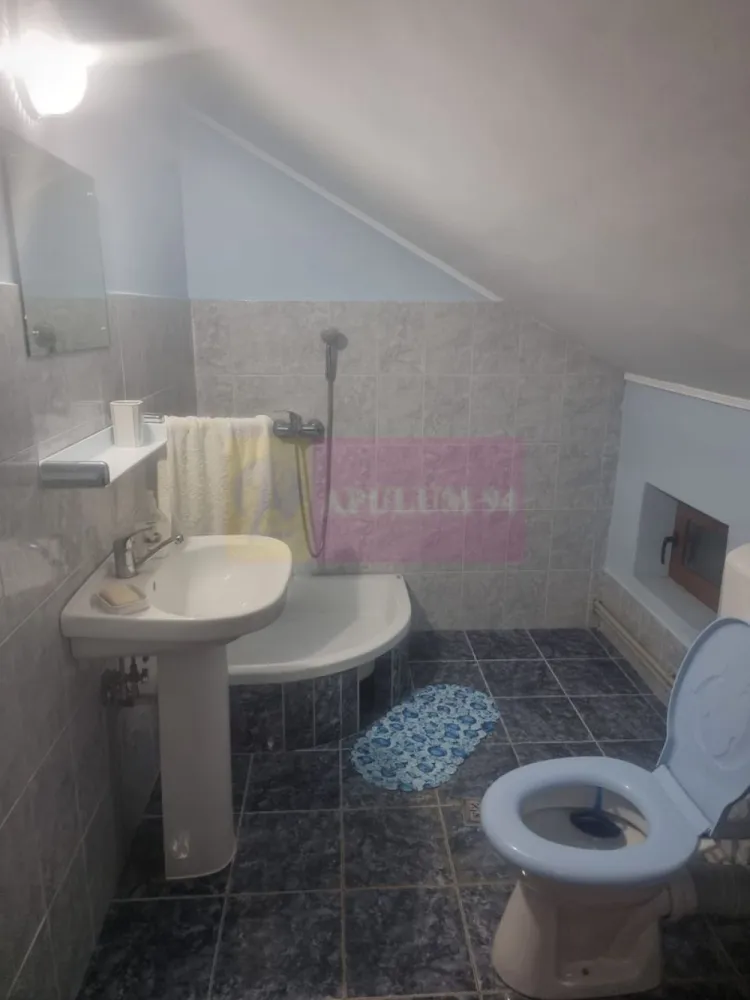 DE VANZARE CASA IN COM. BRANESTI (IF)