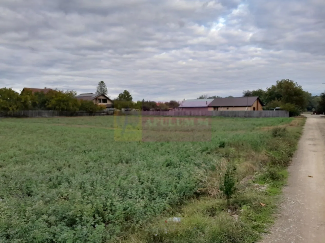 DE VANZARE TEREN 2000 MP - COSERENI( il )