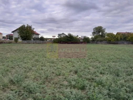 DE VANZARE TEREN 2000 MP - COSERENI( il )