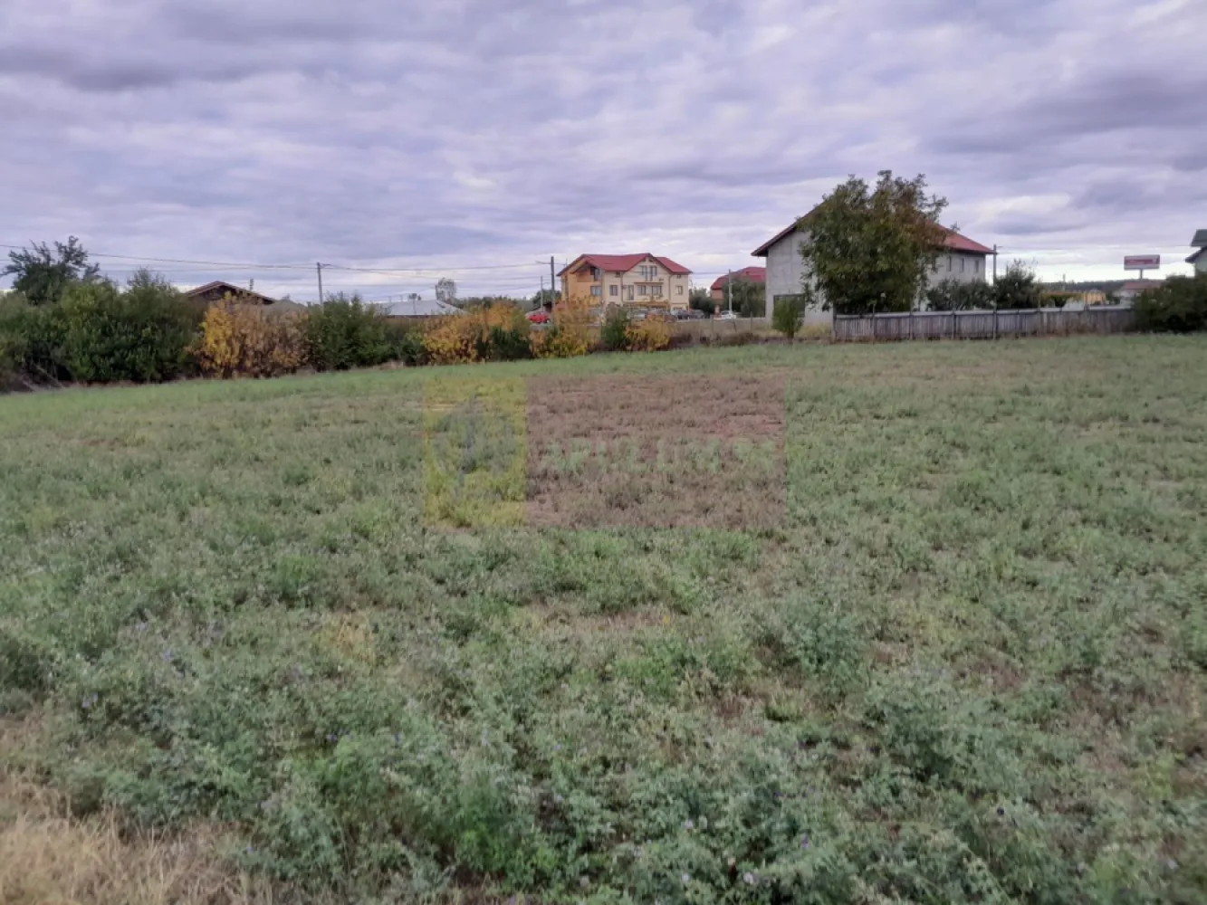 DE VANZARE TEREN 2000 MP - COSERENI( il )
