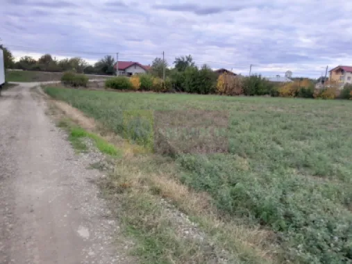DE VANZARE TEREN 2000 MP - COSERENI( il )