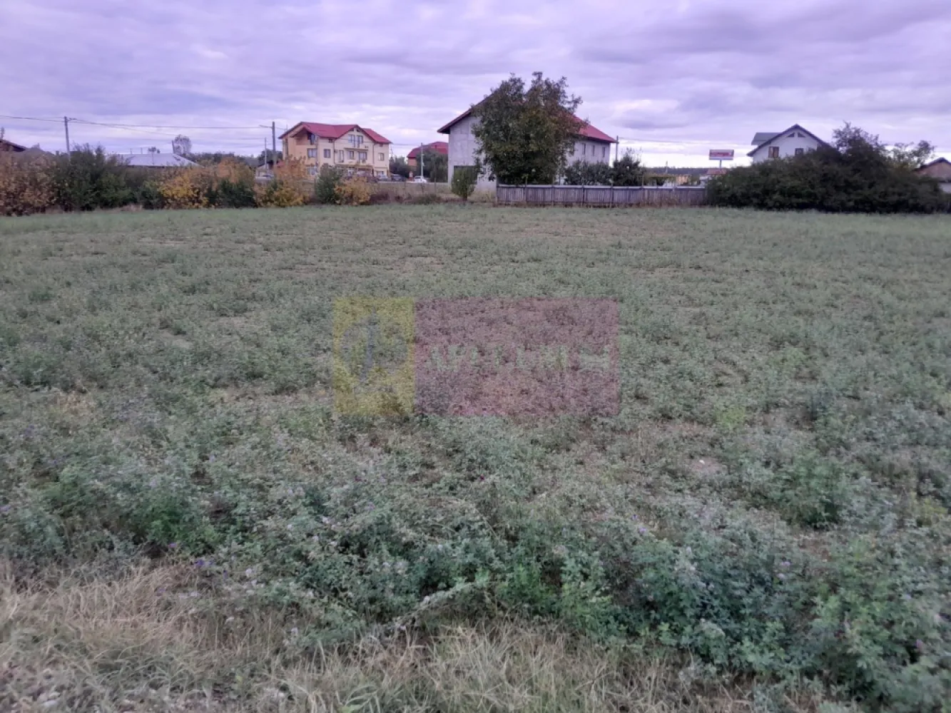 DE VANZARE TEREN 2000 MP - COSERENI( il )