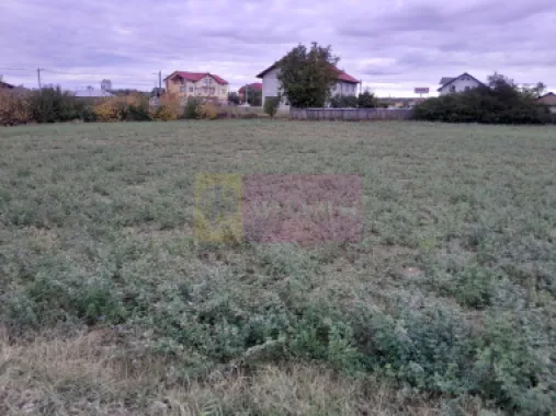 DE VANZARE TEREN 2000 MP - COSERENI( il )