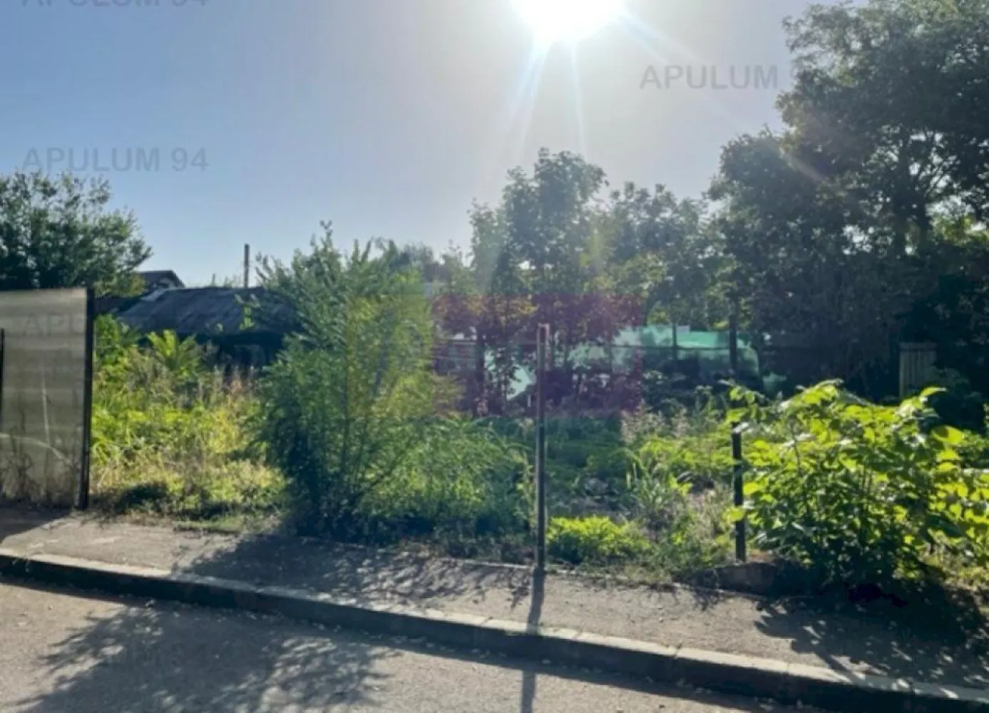Teren Straulesti. - Compania imobiliara Apulum 94 va propune un teren situat in zona Straulesti, langa padure. 
Strada este asfaltata, lata .
Terenul este situat pe colt, avand 2 deschideri, una de 30 ml si cealalta de 11,38 ml.
Utilitatile sunt pe strada, in fata terenului.
Pentru vizionare si mai multe detalii nu ezitati sa ma contactati pe nr 0733683446- Laura Ionescu.