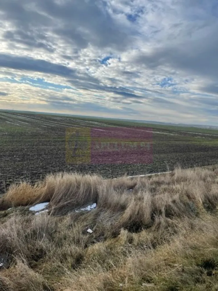 Teren Mihailesti E70- DN6 langa Dovinot. - Compania imobiliara Apulum 94 va propune un teren situat pe E70- DN6- stradal, in Mihailesti- in apropiere de piscina Dovinot.
Deschiderea la DN este de 82,62ml. 
Terenul este extravilan, are curent in fata si este pretabil ptr hala, depozit, spatiu logistic, etc.
Terenul este pe persoana juridica. 
Pentru mai multe detalii nu ezitati sa ma contactati pe nr 0733683446.