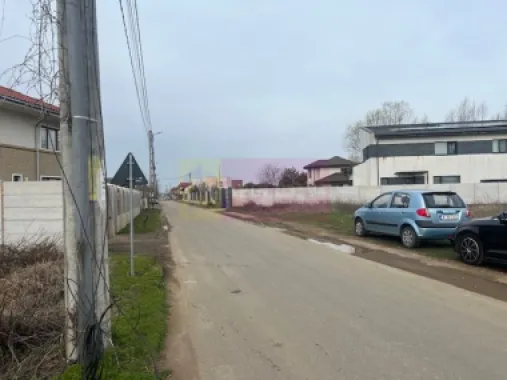 Teren Domnesti- Drumul Targului.