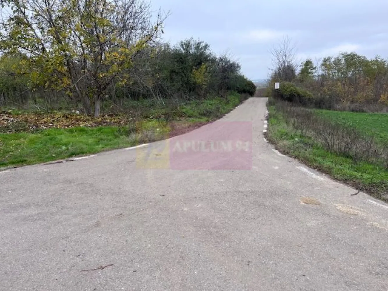 Teren Comana- strada Funieru. - Compania imobiliara Apulum 94 va propune un teren situat in localitatea Comana- jud Giurgiu. 
Localitatea este in plina dezvoltare si foarte accesibila datorita Parcului Natural Comana. 
Terenul este situat intre case, pe strada Funieru. 
 Terenul are in fata curentul , gazele si apa. 
Pentru alte detalii si vizionare nu ezitati sa ma contactati pe nr 0733683446- Laura Ionescu.